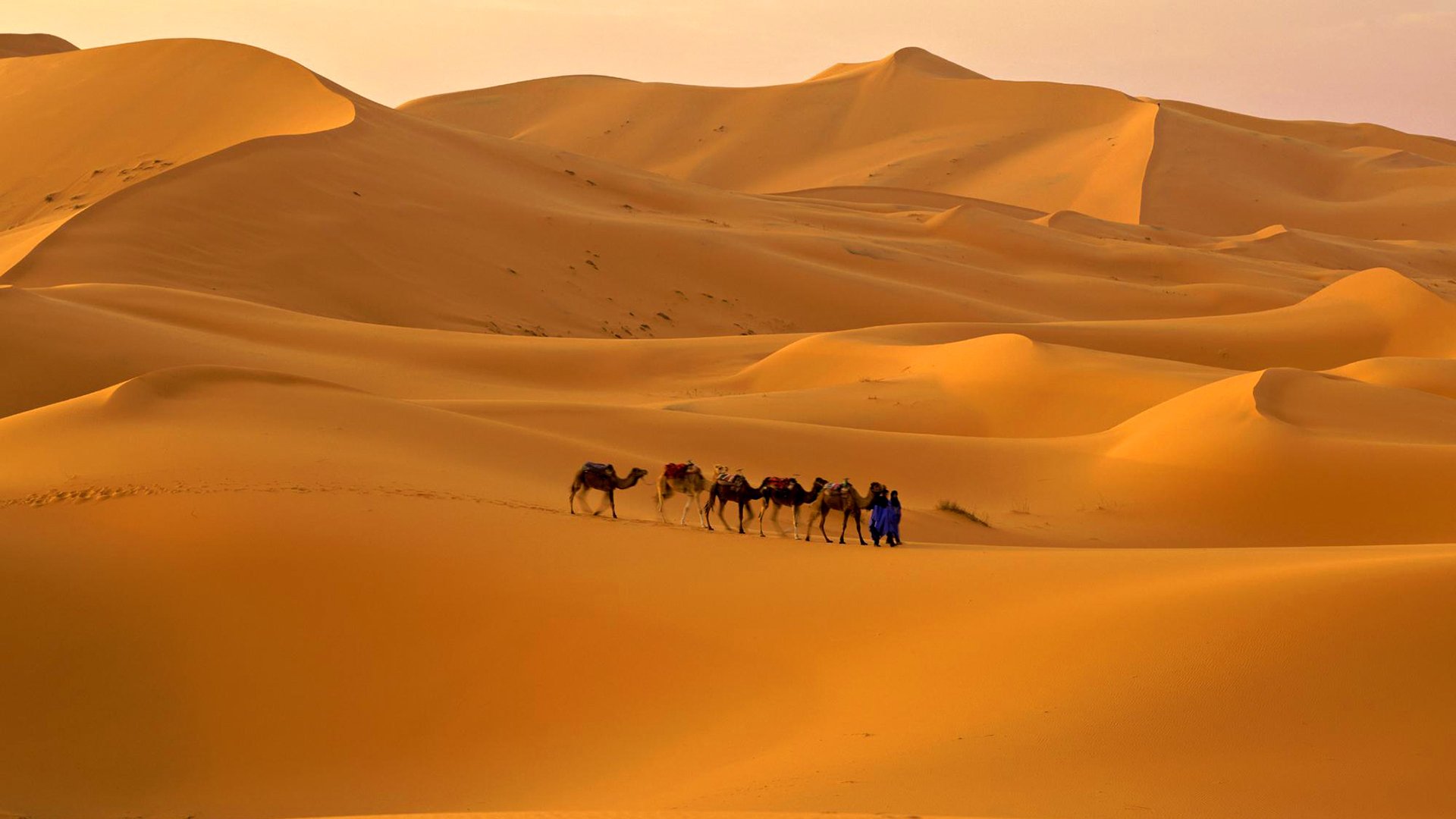 ciel désert caravane chameau sable barkhan