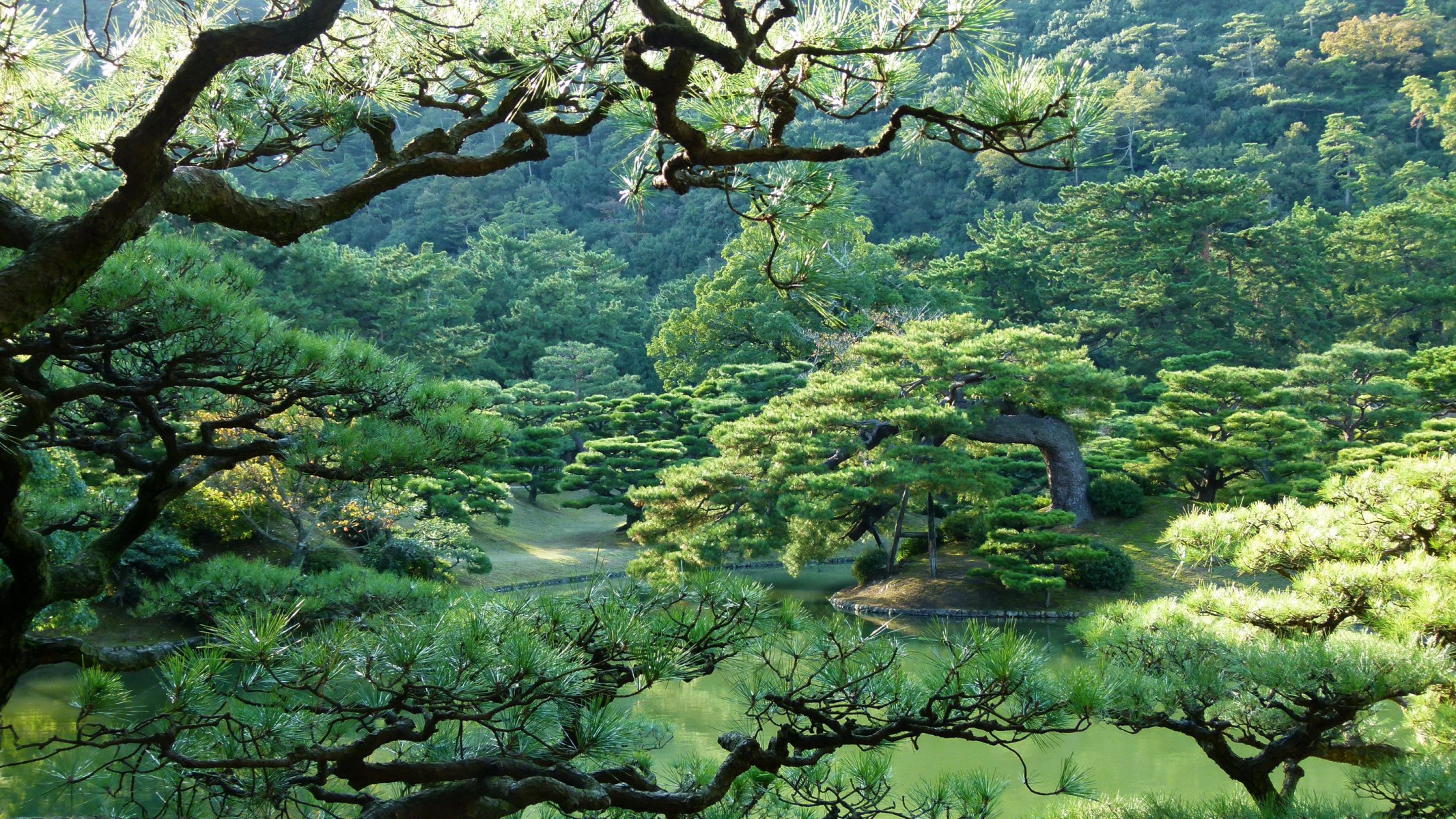 japón parque takamatsu jardín ritsurin árboles naturaleza foto