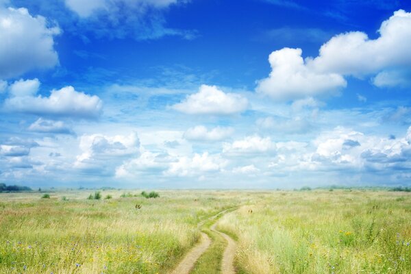 The road running into the distance across the field, under the azure sky