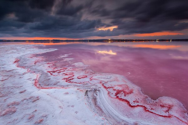 Lake in the night as a living organism