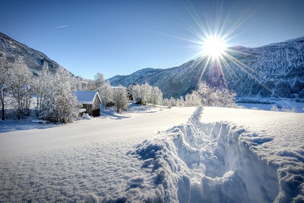 Frostiger und sonniger Tag in der Natur