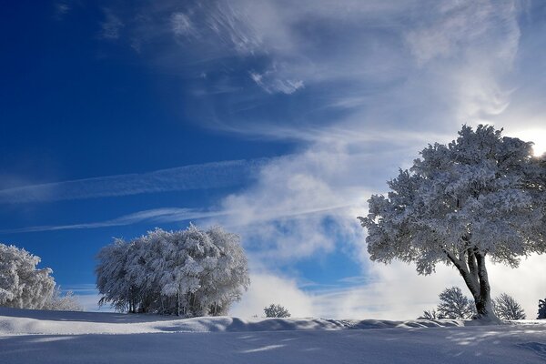 Bella natura in pieno inverno