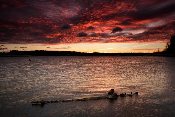 Paisaje del lago y el cielo al atardecer