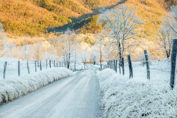 Snowy road to the mountains where autumn