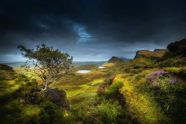 Sommerhügel in Schottland