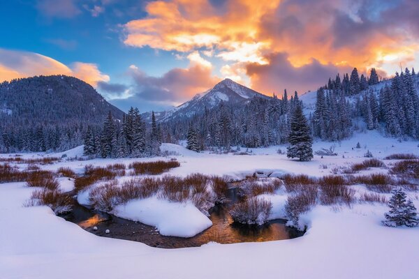 A stream flows in the winter snow forest