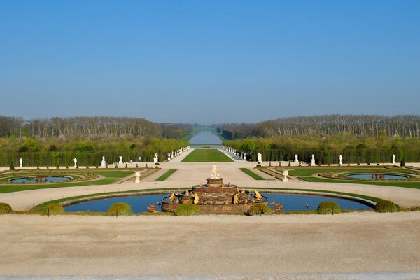 Parc entouré d une jeune forêt