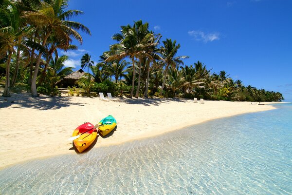 Maldives. Sea and palm trees on the island