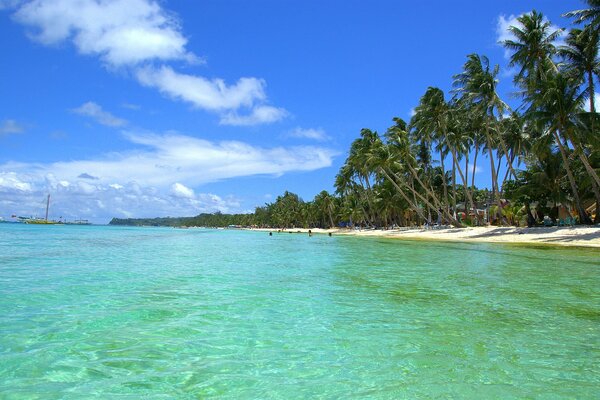 Yacht in tropical waters near a sandy beach