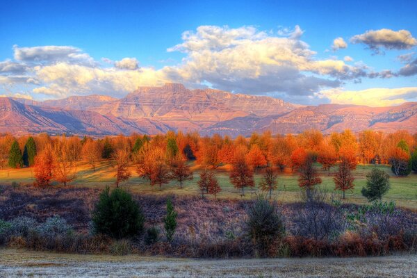 Foresta autunnale sullo sfondo di montagne con nuvole