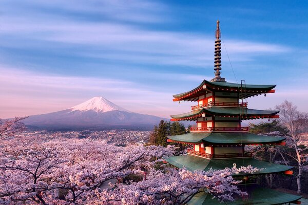 Pagode entourée de fleurs de cerisier