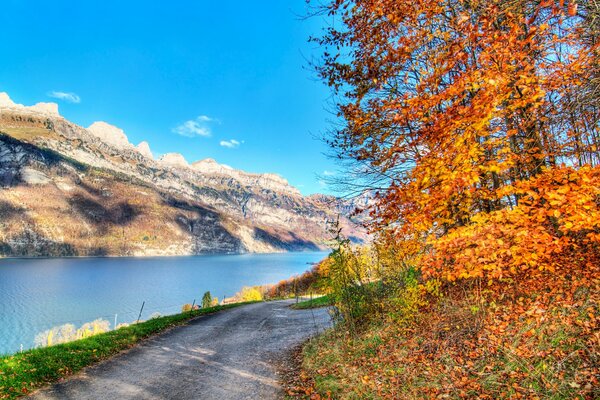 Herbstlandschaft Bäume Fluss Felsen