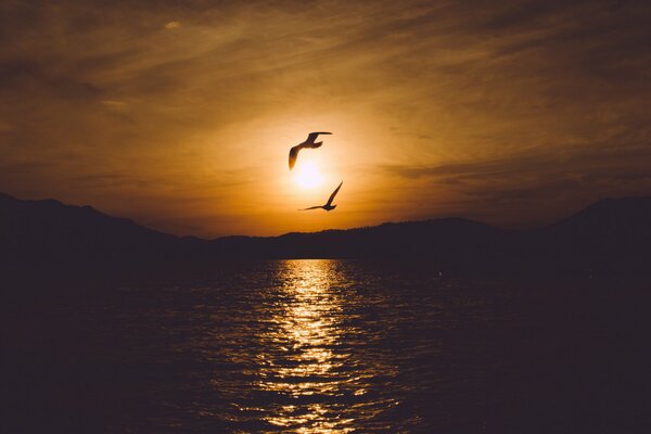 Abendlandschaft Sonnenuntergang und Vögel