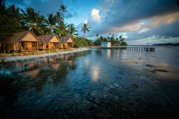 Bungalow among palm trees by the sea