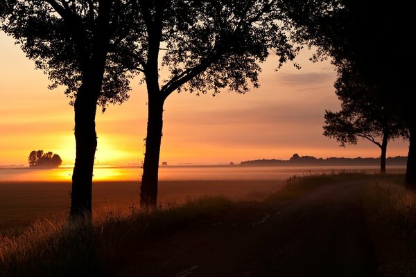 Route dans le champ au coucher du soleil