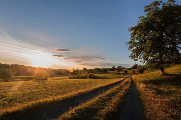 Morgendämmerung in Italien. Straße, Wiese und Bäume