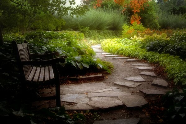 Passerelle menant au banc dans le jardin