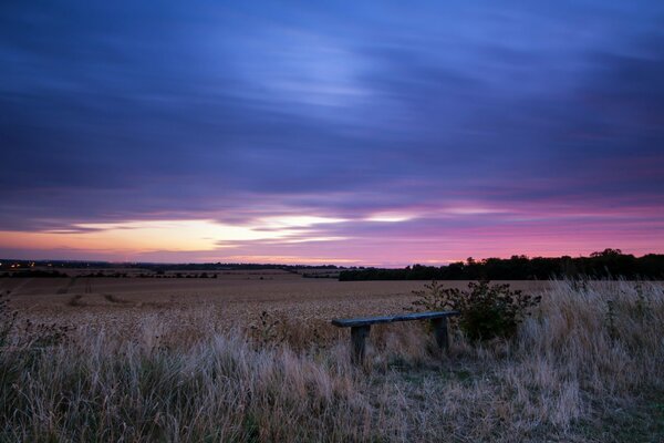 A lonely bench in the middle of a field against the background of a purple dense sunset