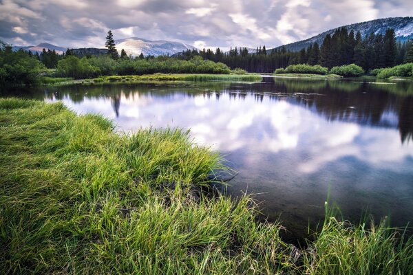 Paysage d été sur le lac