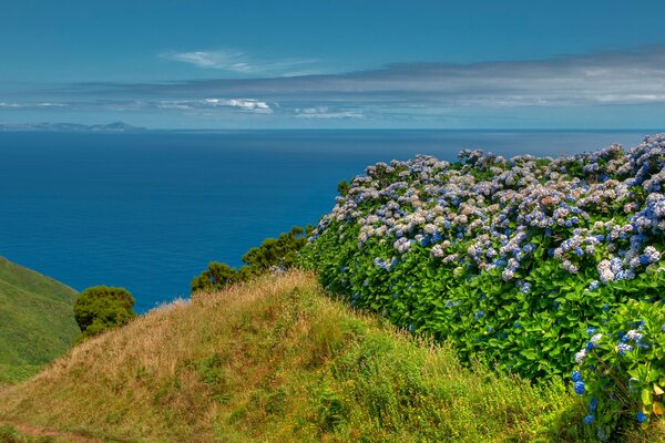 Paisaje marino cielo y mar