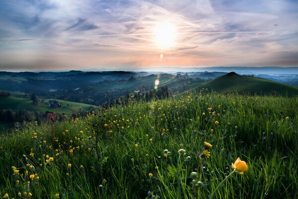 Grüne Tour Landschaft auf dem Hintergrund von Hügeln und Himmel