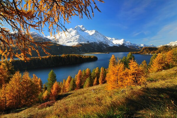 Autumn forest surrounded by mountains and lake