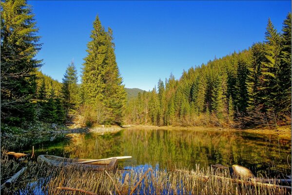 Boat on a lake surrounded by forest in Transcarpathia