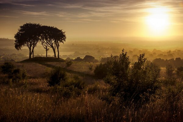 Sunset over Copt Hill