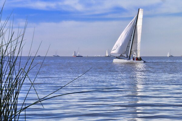 Piccola barca a vela regata naviga sul mare