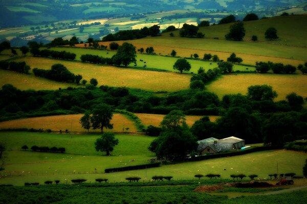 Paisaje con árboles, casas y pastizales