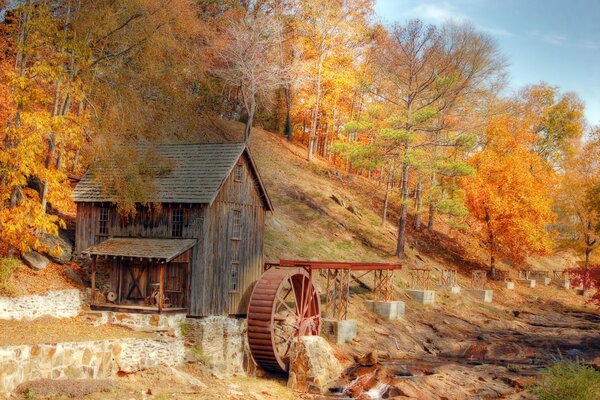 Vieux moulin dans la forêt d automne