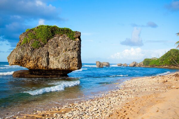 A rock on the seashore among green palm trees