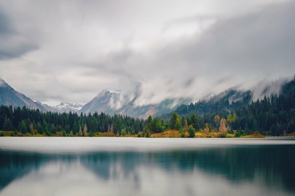 The Silent Nature of Washington State