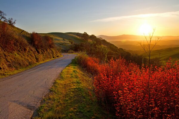 The road going into the horizon