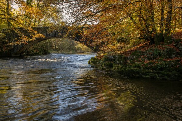 Brücke über dem Fluss im Herbst