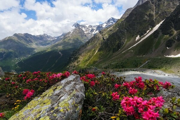 Tan encantador paisaje de montaña