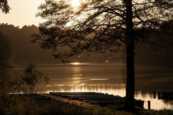 Matin au bord du lac