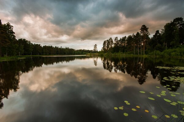 Pintura de otoño en el lago