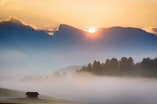 Mattina in un campo nella nebbia coprente