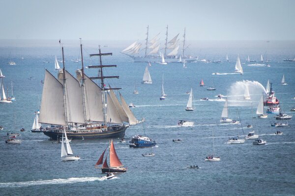 Teilnehmer einer Seesegelregatta