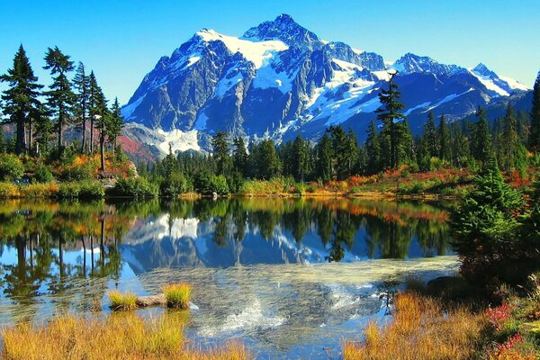 Montaña lago naturaleza árbol de Navidad