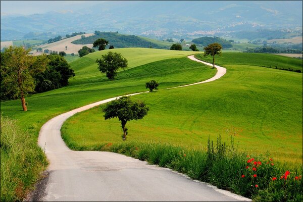 Strada tra le verdi colline. Orizzonte. Paesaggio