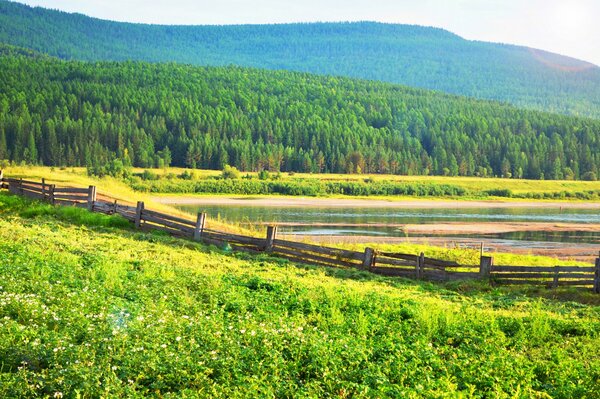 Rustic landscape. Blooming potatoes. Wooden fence by the river