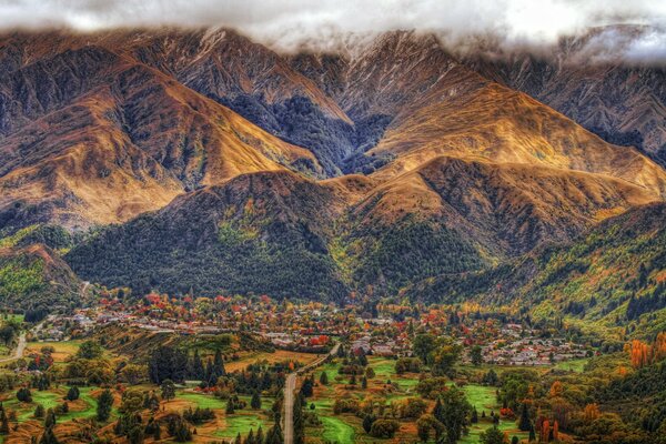 Un pueblo en un bosque en nueva Zelanda