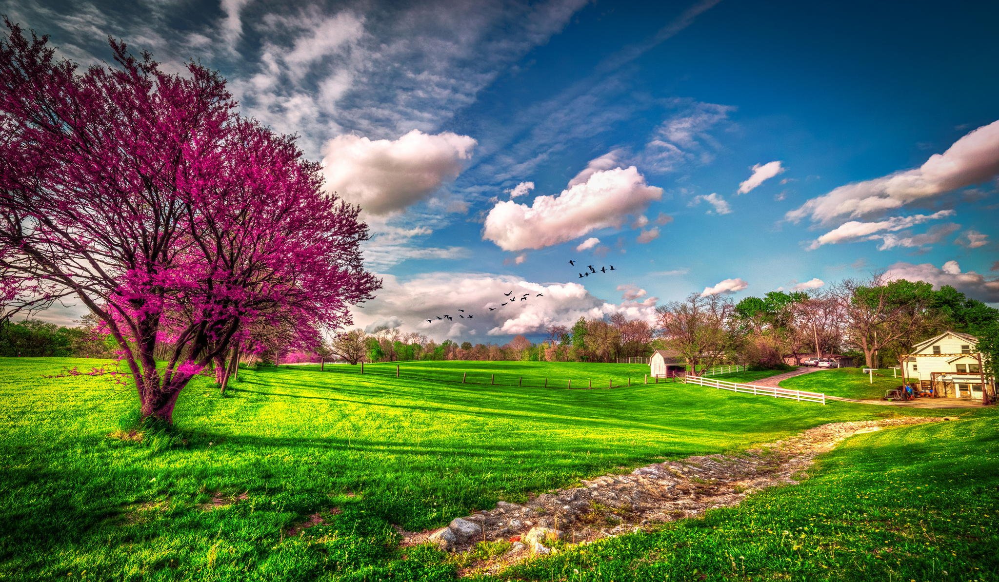 estados unidos missouri primavera granja hierba vegetación nubes árbol floración