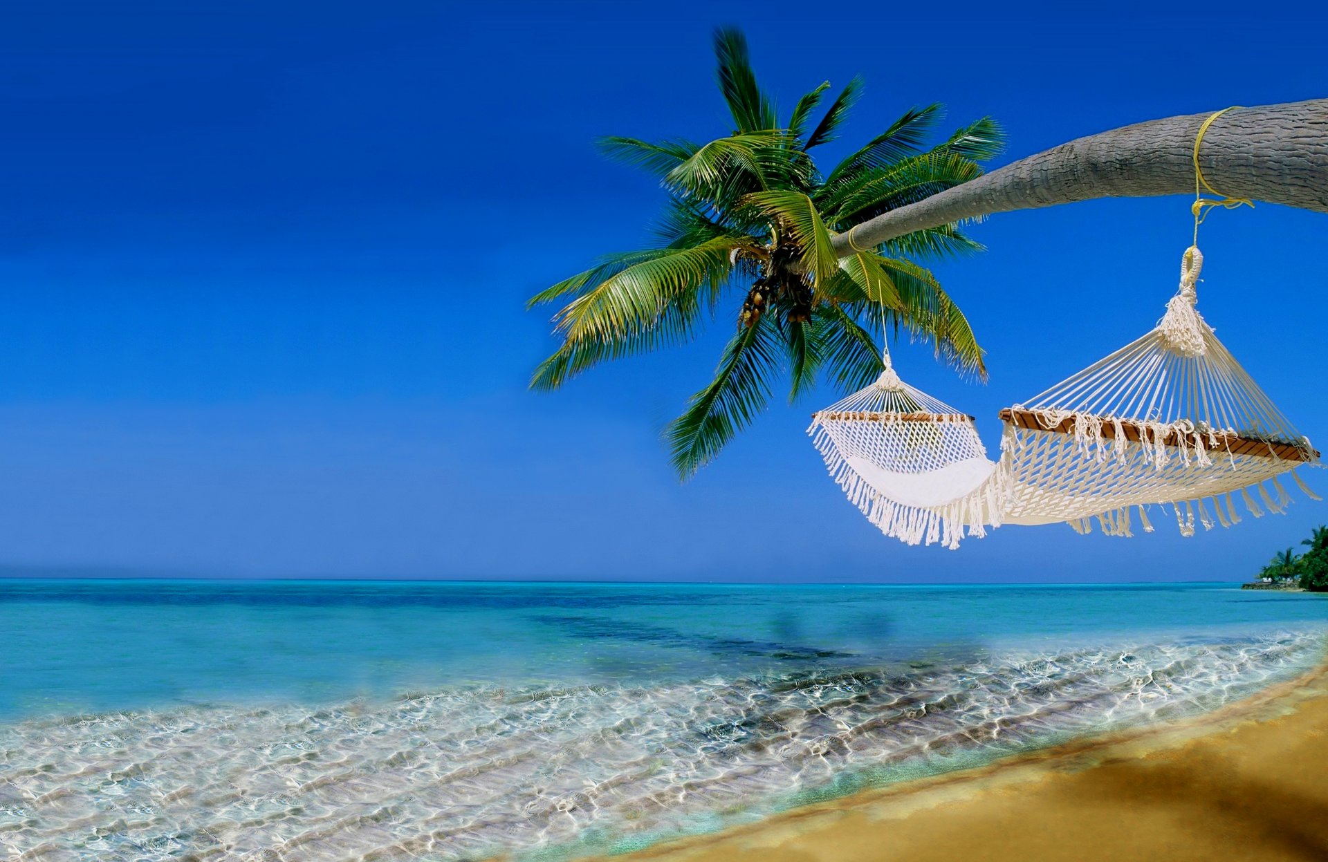 amaca cielo tempo libero palme paesaggio natura spiaggia mare oceano acqua sabbia ammock