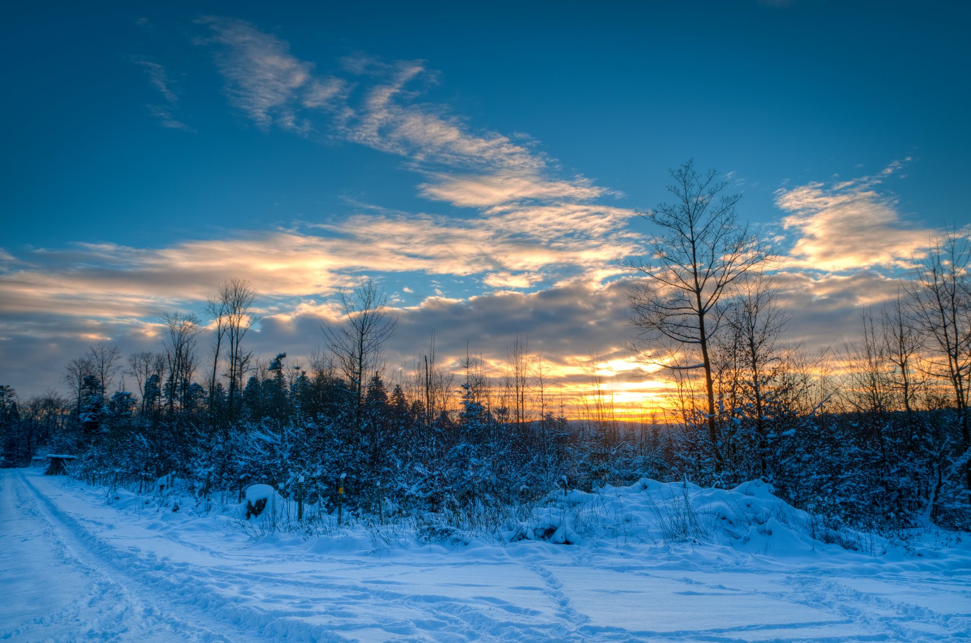 cielo nuvole tramonto inverno neve alberi strada natura sentiero