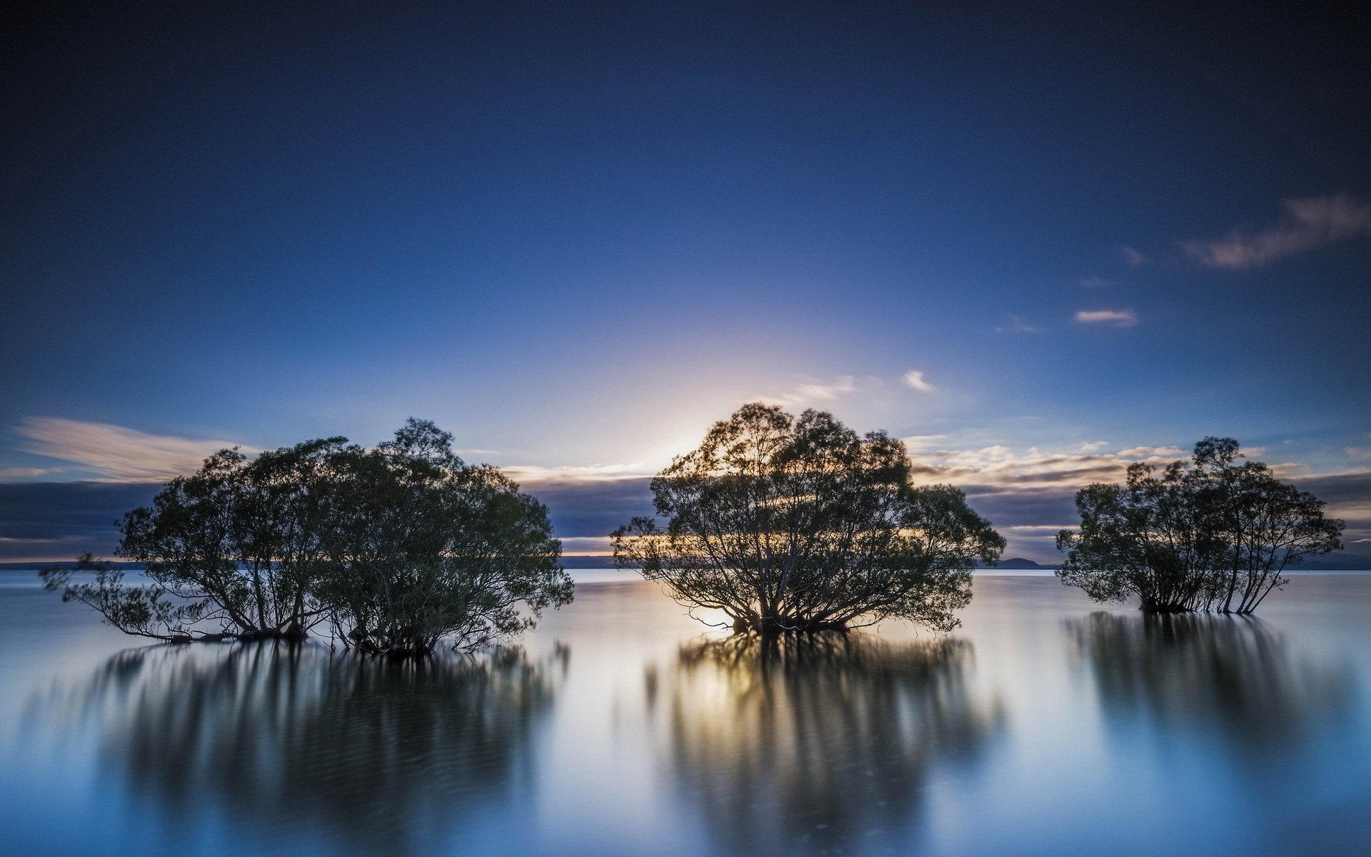 lake tree landscape