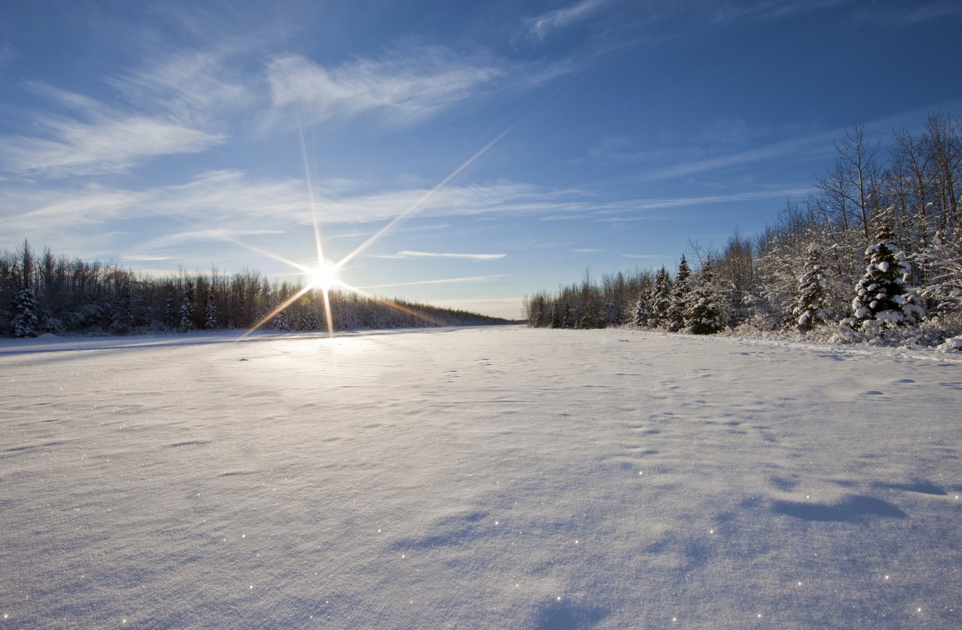 winter fluss schnee ufer bäume himmel sonne