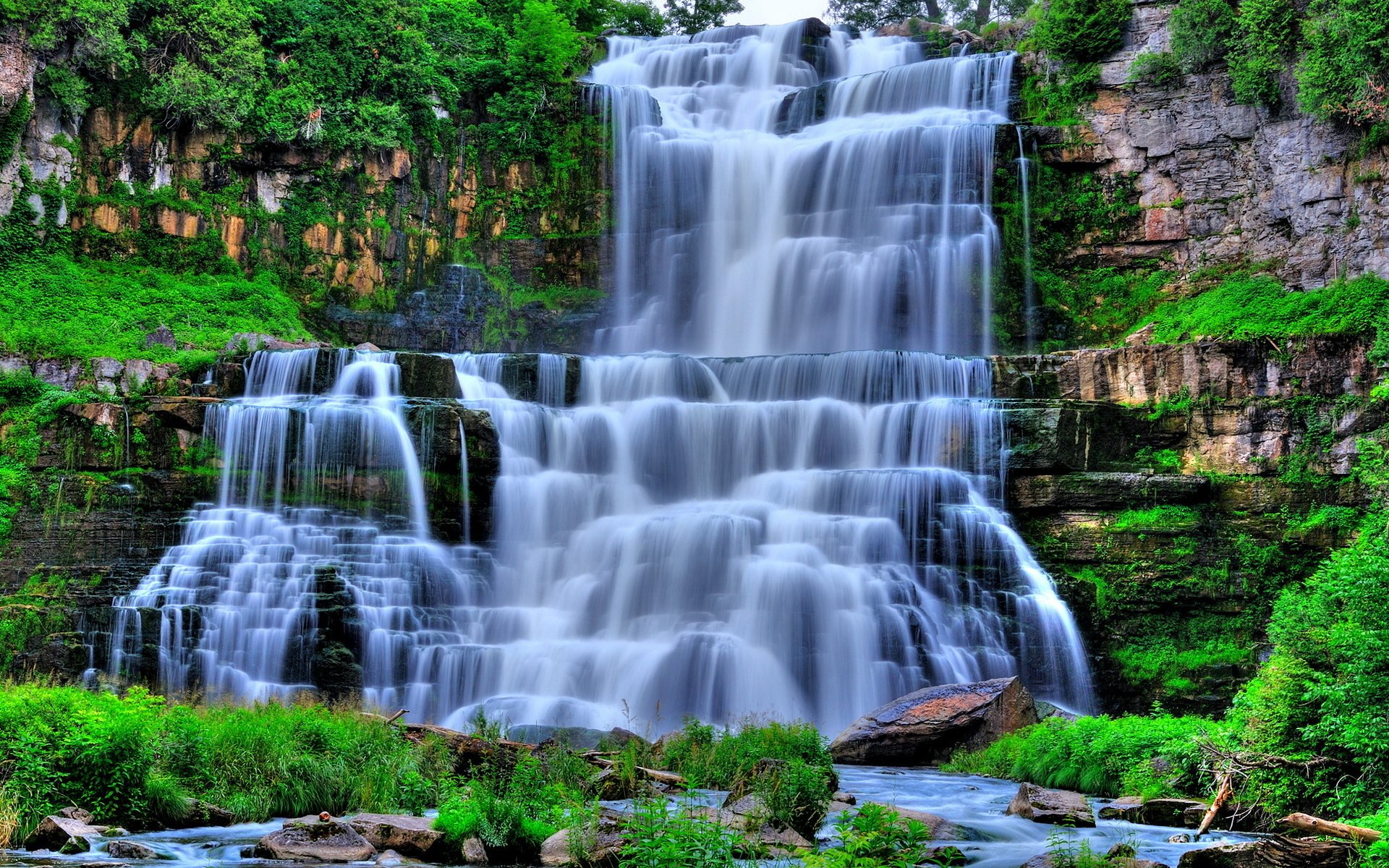 cascade arbres pierres herbe rapides